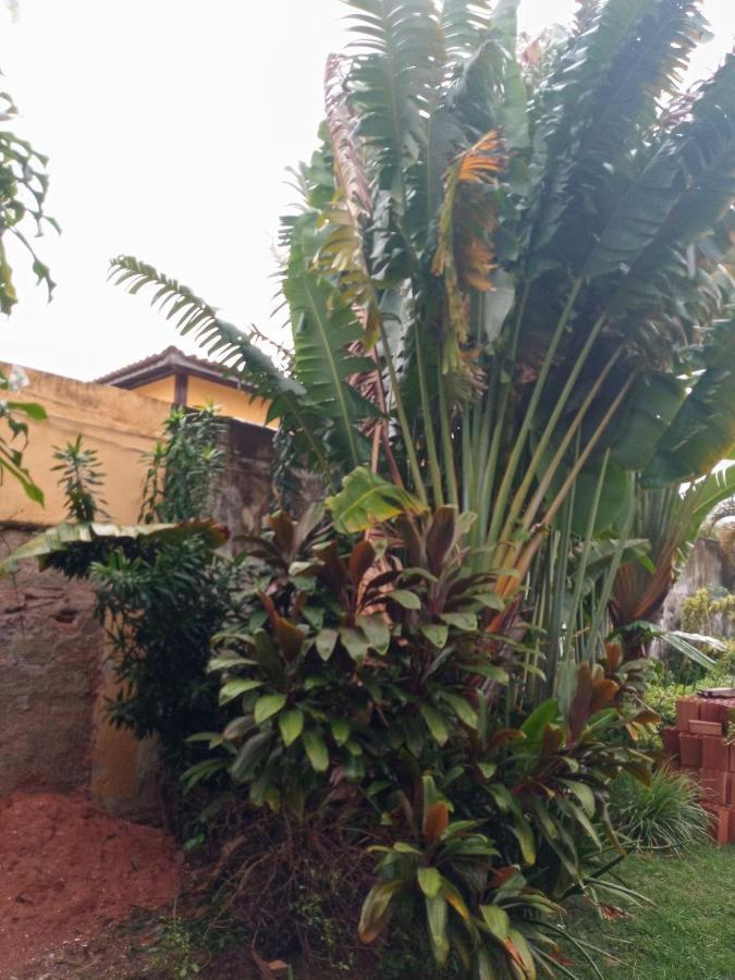 Zen Villas - Chales, Bem-Estar E Conexao Com A Natureza Lauro de Freitas Zewnętrze zdjęcie
