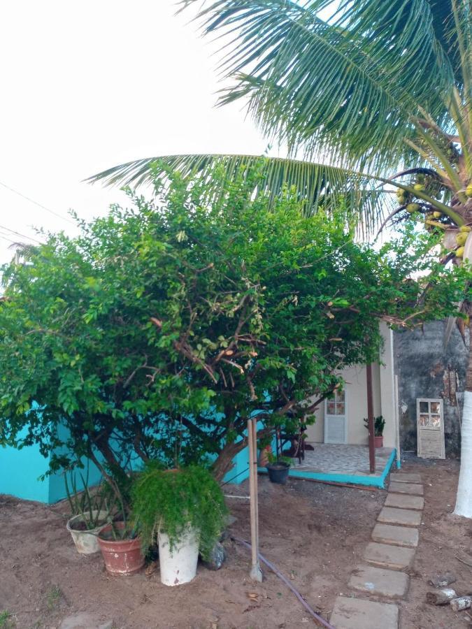 Zen Villas - Chales, Bem-Estar E Conexao Com A Natureza Lauro de Freitas Zewnętrze zdjęcie