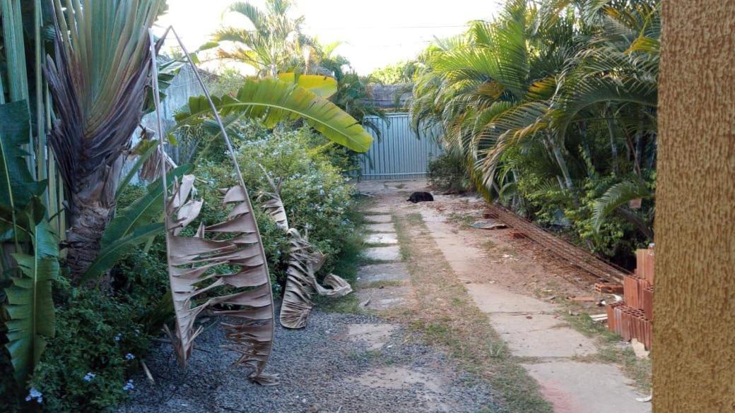 Zen Villas - Chales, Bem-Estar E Conexao Com A Natureza Lauro de Freitas Zewnętrze zdjęcie