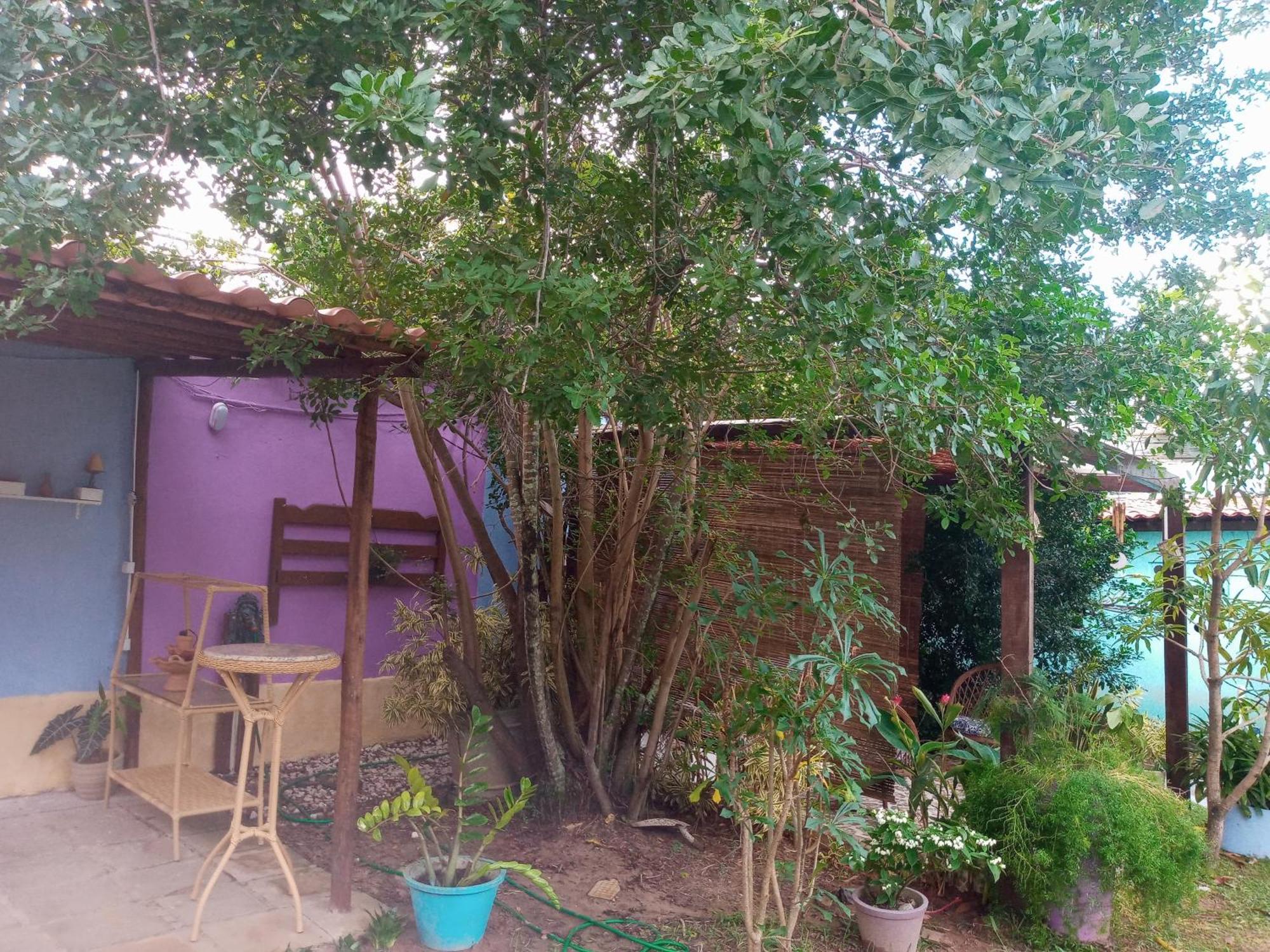 Zen Villas - Chales, Bem-Estar E Conexao Com A Natureza Lauro de Freitas Zewnętrze zdjęcie