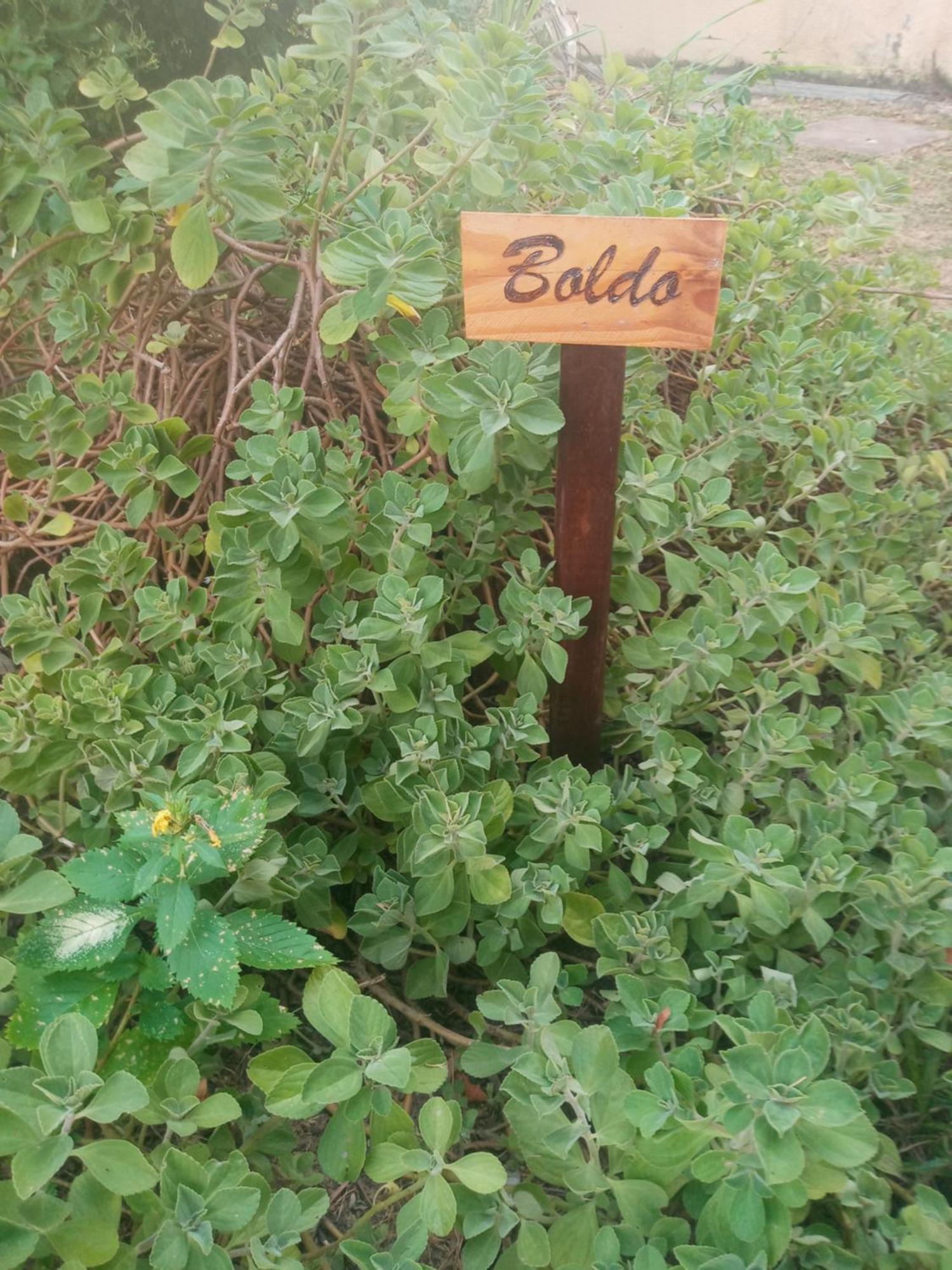 Zen Villas - Chales, Bem-Estar E Conexao Com A Natureza Lauro de Freitas Zewnętrze zdjęcie